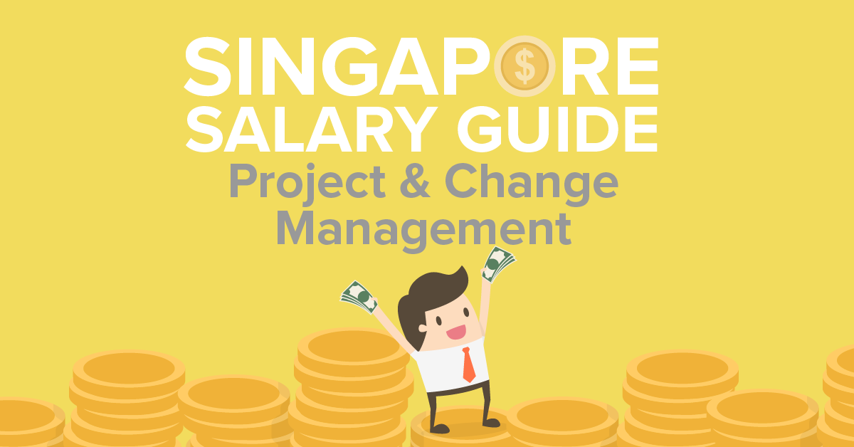 SG Salary Guide Project Change Management